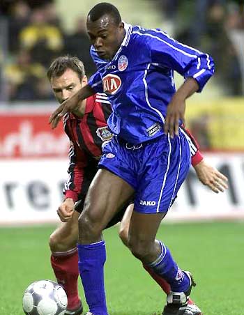 广东广州豹 广东广州豹